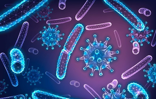 L'essentiel sur... Les maladies infectieuses